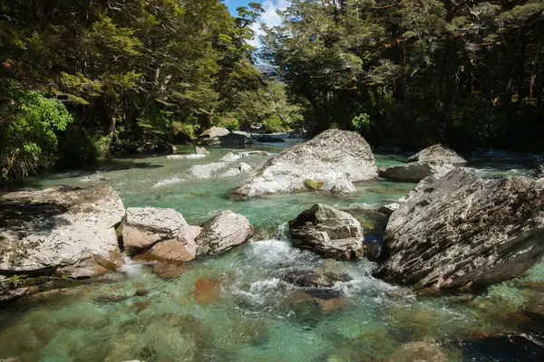 岩の多い川底を流れ 景勝地の森を流れる渓流 — ストック写真