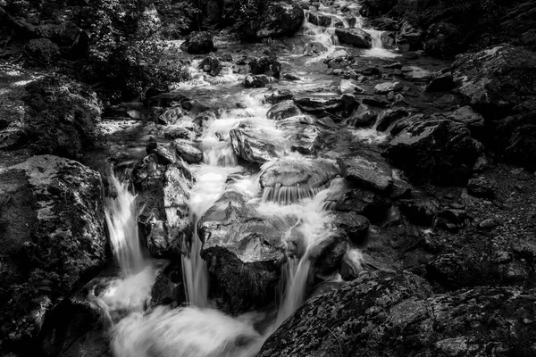 Sığ Nehir Suyunun Güzel Sanat Fotoğrafları Yeni Zelanda Ormanlarında Kayalık — Stok fotoğraf