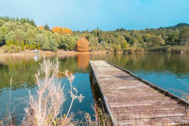 Sonbaharda Bolluk Körfezi 'nde bulunan küçük göl akışının en önde gelen ahşap iskelesi.