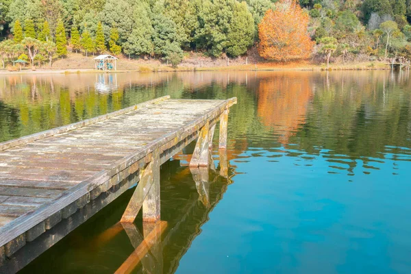 Jetée Bois Rustique Menant Eau Int Petit Lac Reflet Dans — Photo