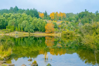 Yerli çalılarla çevrili göl sakin sulara yansıyor.