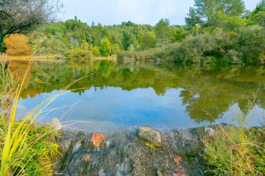 Yerli çalılarla çevrili göl sakin sulara yansıyor.