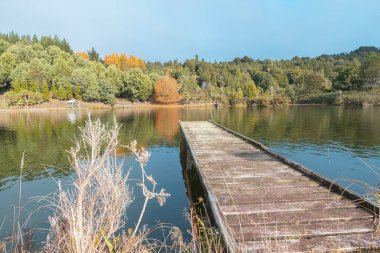 Sonbaharda Bolluk Körfezi 'nde bulunan küçük göl akışının en önde gelen ahşap iskelesi.
