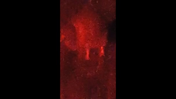 ดๆตอนกลางค ภายใต แสงส แดง ภาพพร วบนเกาะสจ — วีดีโอสต็อก