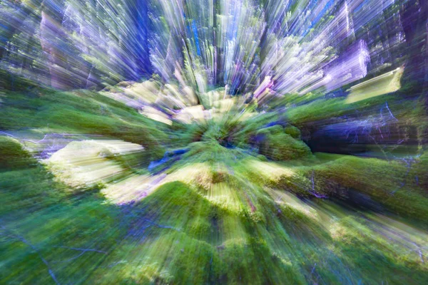 Abstract Effect Van Kleuren Zoom Wazige Schaduwen Diep Het Regenwoud — Stockfoto