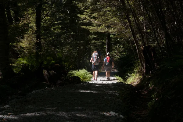 Routeburn Track Nueva Zelanda Marzo 2015 Dos Mujeres Excursionistas Con — Foto de Stock