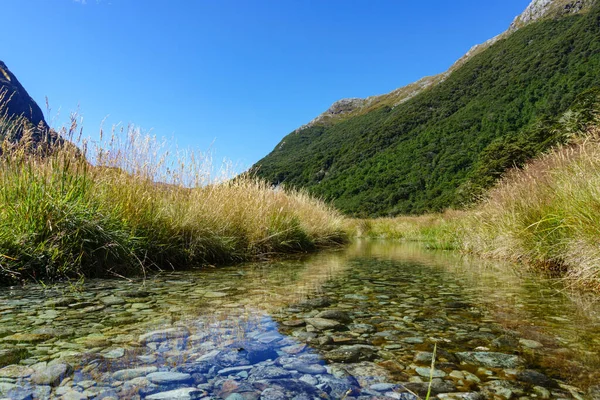 水に反射した草の側面を持つ浅い石のストリーム — ストック写真