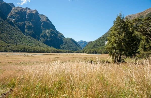 ニュージーランドのルートバーントラック上の南アルプスの山脈を収束することによって隣接距離に伸びる平らな芝生の風光明媚な平野 — ストック写真