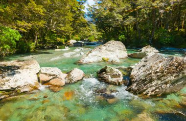 Resimli orman deresi kayalık nehir yatağının ve manzaralı ormanın üzerinden akıyor..