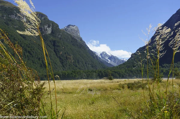Grassige Rivier Vlak Tussen Convergerende Bergen South Island Nieuw Zeeland — Stockfoto