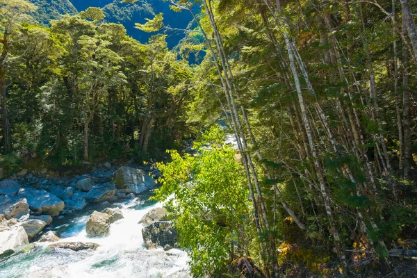 Flusso Foresta Che Scorre Sul Letto Del Fiume Roccioso Attraverso — Foto Stock