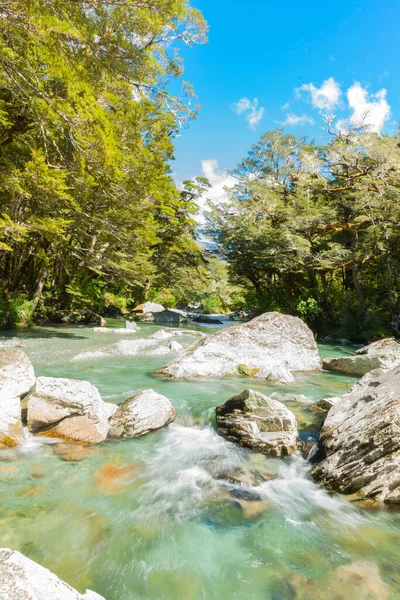 Fluxo Floresta Que Flui Água Fresca Fresca Sobre Leito Rio — Fotografia de Stock