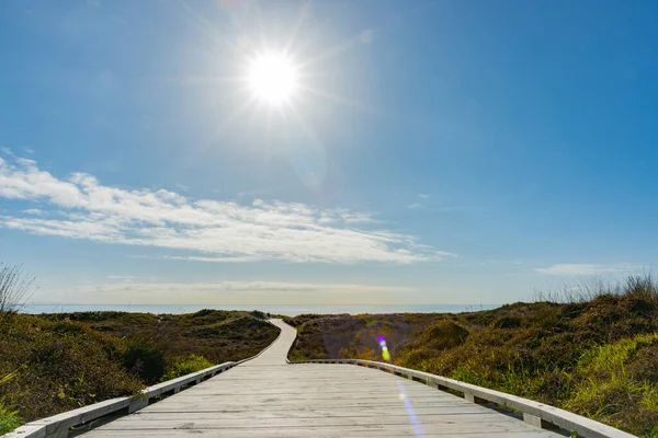 Larga Pasarela Madera Través Las Dunas Cubiertas Vegetación Costera Playa —  Fotos de Stock