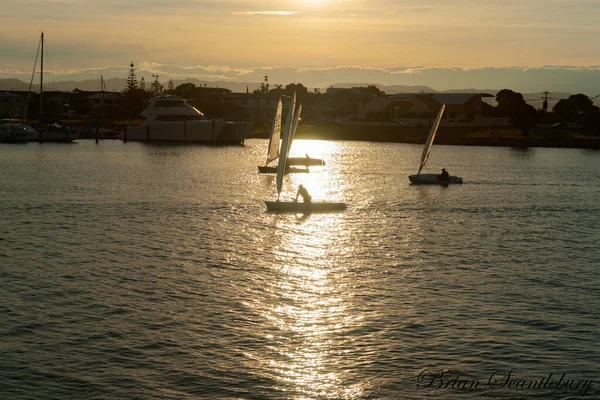 Napier New Zealand May 2015 Small Sailing Yachts Late Afternoon — Stock Photo, Image