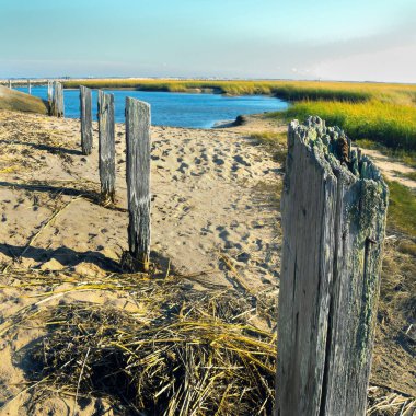 Cape Cod 'un sulak arazisi ve kırsal bölgeleri var...