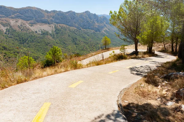 Road Coll Rates Winding Downhill Trees Golden Summer Dried Grass — Stock Photo, Image