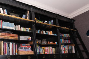 Auckland - Yeni Zelanda - 19 Temmuz 2021; Telekonferans veya zoom tipi çağrılar için kitap ve öğelerle dolu karanlık kereste kitaplığı.