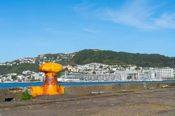 纵观东湾至惠灵顿码头 建筑物及山边住宅的景致 由新西兰的旧码头至前景呈黄色船柱 — 图库照片