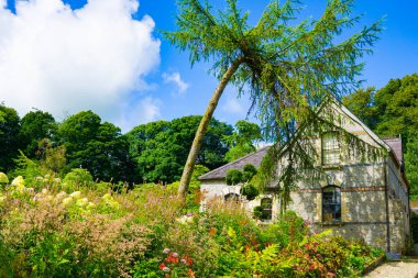 Ağaçlar ve başıboş bahçelerle çevrili tuhaf kır evi.