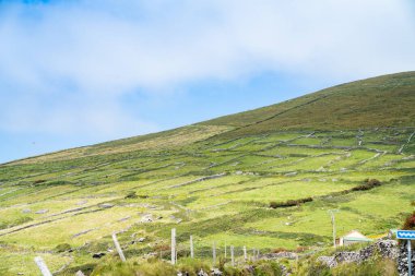 Eğimli tepe geleneksel kuru taş duvarla desenlenmiştir. Eğimi daha küçük çayırlara ayırarak vahşi Atlantik yolu boyunca tarımsal amaçlar için, İrlanda.