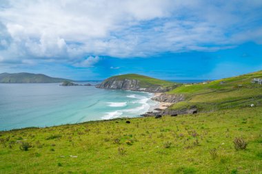 Körfez, yol ve kaya duvarlarıyla çevrili ve düz yeşil alanlar boyunca uzanan dik, dramatik kayalık uçurumlarla dolu. İrlanda 'da.