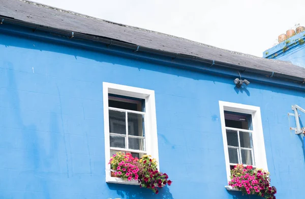 Голубая Стена Двумя Окнами Ящиками Посадки Цветов — стоковое фото