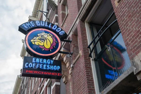 Amsterdam Holland August 2017 Das Bulldog Energie Und Café Leuchtreklame — Stockfoto