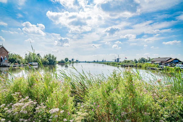 Kinderdijk Netherlands August 2017 Long Canals Lined Wild Vegetation Windmills — Stock Photo, Image