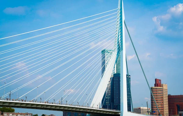 荷兰鹿特丹 2021年8月22日 Erasmus桥面对城市天际线建筑和蓝天的尖锐的白色电缆和码头 — 图库照片
