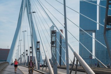 Rotterdam Hollanda - 23 Ağustos 2017; Erasmus Köprüsü 'nün yapısal kablolarını birleştiren mimari lider bisikletçi Afrikalı etnik köken ve kadın koşucu.