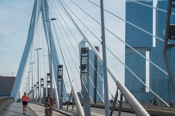 荷兰鹿特丹 2017年8月23日 Erasmus桥结构电缆的建筑学领先汇合线 骑自行车的非洲裔走向终点 女赛跑选手离去 — 图库照片