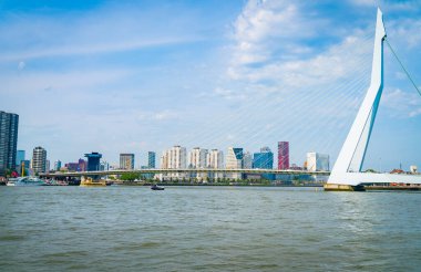 Rotterdam 'daki Maas Nehri' ni, Erasmus Köprüsü 'nden Hollanda' daki ticari ufuk çizgisi ve binalara kadar kablo yayını boyunca izleyin..