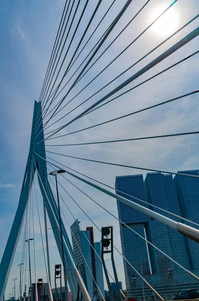 Architektonisch Führende Konvergierende Linien Struktureller Kabel Der Erasmusbrücke — Stockfoto