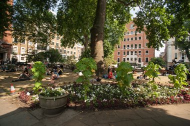 Thames Nehri meşgul.