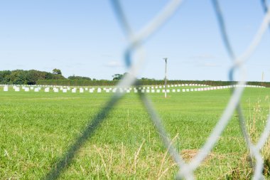Baled saman uzak satırları arasında zincir bağlantı tel çit.
