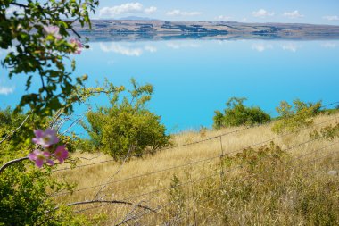 Lake Pukaki, Mackenzie Havzası.