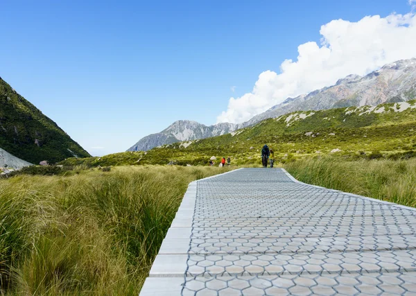 Great New Zealand Walks. — Stock Photo, Image