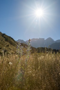 Sunflare dağın alanları üzerinde.