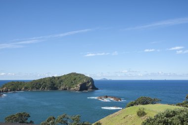 Coastal outlook from Tutukaka, Northland, New Zealand clipart