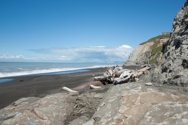Su kenarına hareket görüntü
