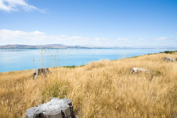 Lake Pukaki, South Island NZ — Stock Photo, Image