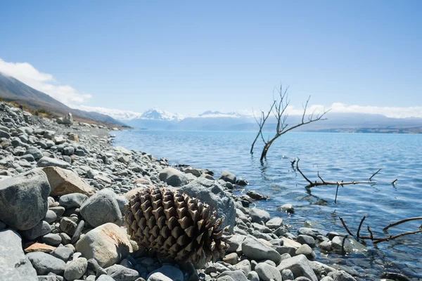 棍棒和巨松果在平静的水面上石质湖岸 — 图库照片