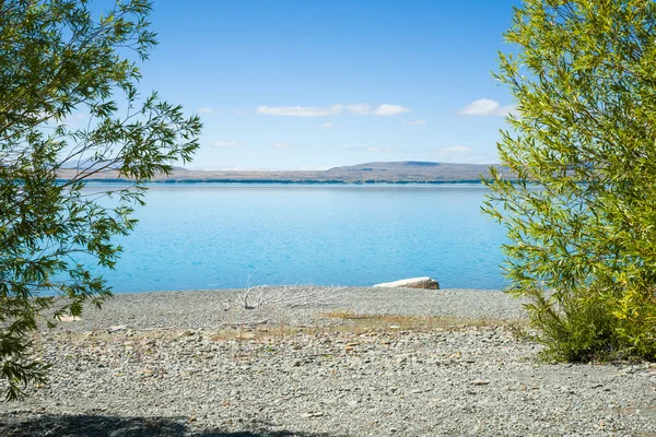 View through green trees across stony shore of Lake Pukaki. — Stock Photo, Image