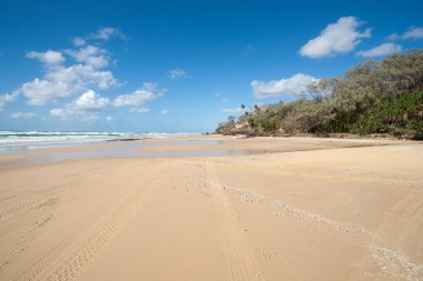 Beautiful sandy ocean beach on Fraser Island clipart