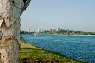 Tweed Heads manzarası