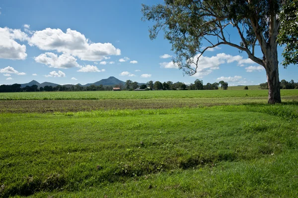 Paisagem australiana se estende ao horizonte — Fotografia de Stock