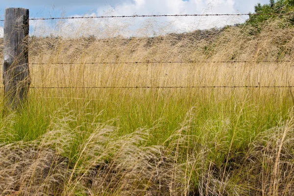 Paisaje cerca de Tentafield — Foto de Stock