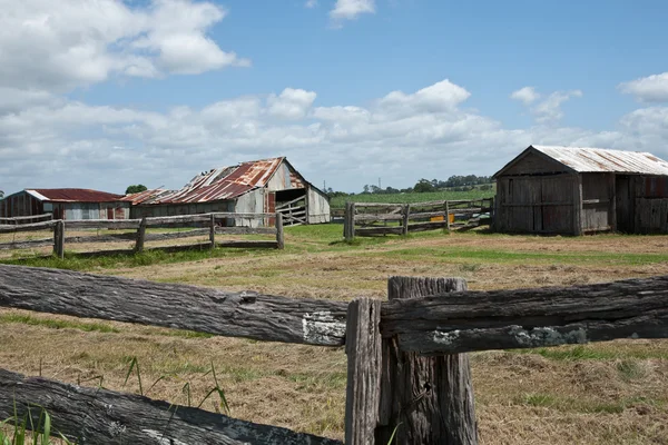 Ländliche szenen zwischen ulmarra und yamba. — Stockfoto