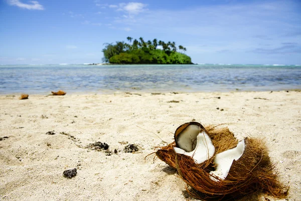 Gebroken cocont op strand — Stockfoto