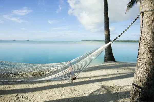 Tropikal ortamda boş hamak